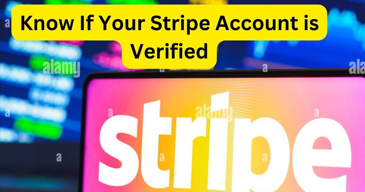 Know If Your Stripe Account is Verified